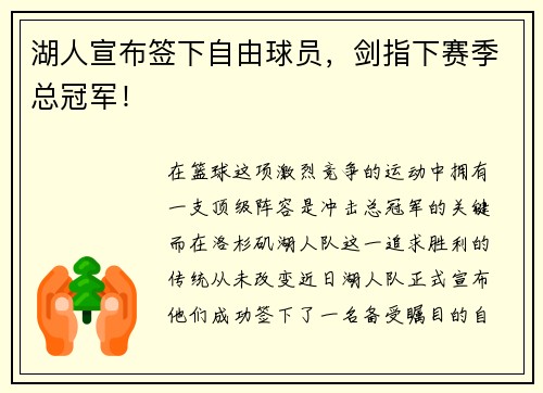 湖人宣布签下自由球员，剑指下赛季总冠军！